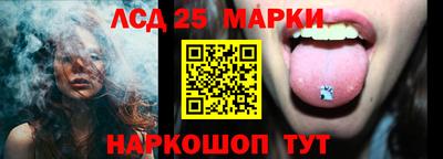 гашик Нальчик