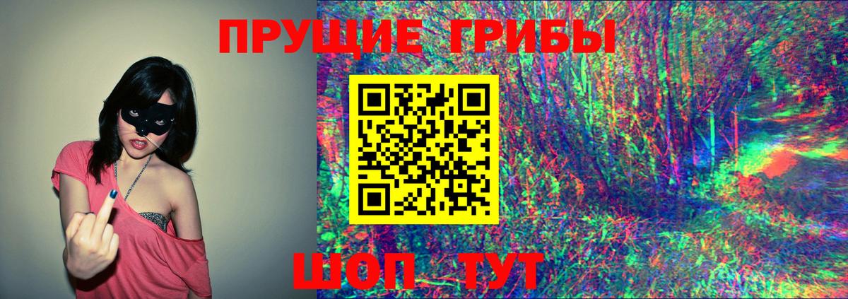 закладка  Псилоцибиновые грибы Cubensis  Вход с VPN  Ставрополь 