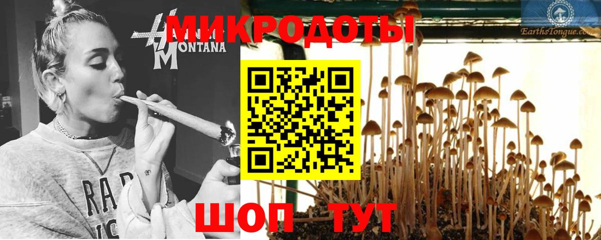 Галлюциногенные грибы прущие грибы Ставрополь